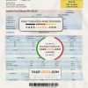 Malaysia Tenaga Nasional electricity utility bill template in Word and PDF format