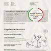 Moldova Orange Factura utility bill template in Word and PDF format