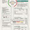 Mongolia Energy Corporation (MEC) electricity utility bill template in Word and PDF format