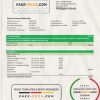 Netherlands KPN utility bill template in Word and PDF format