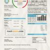 Nigeria Nigerian Electricity Regulatory Commission electricity utility bill template in Word and PDF format