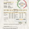 Palestine Electricity Distribution Company Gaza (GEDCO) utility bill template in Word and PDF format