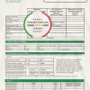 Paraguay Petrobras Paraguay Operations and Logistics gas company utility bill template in Word and PDF format