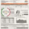 Philippines Meralco electricity utility bill template in Word and PDF format