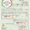 Saint Vincent and the Grenadines St. Vincent Electricity Services Limited utility bill Word and PDF template