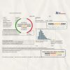 Serbia electricity proof of address utility bill template Word and PDF format