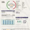 Singapore I Switch electricity utility bill template in Word and PDF format