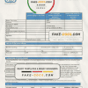 South Africa The GAS Company gas utility bill template in Word and PDF format
