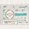Turkey Turktelekom utility bill template in Word and PDF format, fully editable