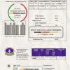 Turkmenistan Turkmengaz utility bill template in Word and PDF format