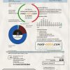 USA AEP Texas electricity utility bill template in Word and PDF format