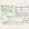USA Ameren Missouri electricity utility bill template in Word and PDF format (2 pages)