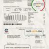 USA Arizona Chandler Utilities bill template in Word and PDF format