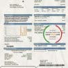 USA California City of St Helena utility bill template in Word and PDF format