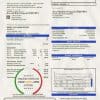 USA California Monte Vista Water District utility bill template in Word and PDF format