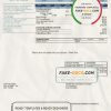 USA California PG&E (Pacific Gas and Electric Company) utility bill template in Word and PDF format, version 2