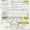USA California’s FireSide natural gas utility bill template in Word and PDF format