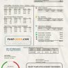 USA City of Tallahassee Florida Your Own Utilities bill template in Word and PDF format