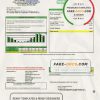 USA Colorado Holy Cross Energy utility bill template in Word and PDF forma