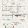 USA Columbia Gas of Ohio utility bill template in Word and PDF format