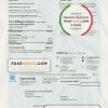 USA Con Edison electricity utility bill template in Word and PDF format