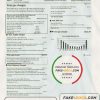 USA Con Edison gas utility bill template in Word and PDF format