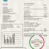 USA Connecticut Light & Power electricity utility bill in Word and PDF format