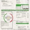 USA Delaware Electric Co-op utility bill template in Word and PDF format