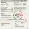 USA Delaware & Maryland Delmarva Power electric and gas utility bill template in Word and PDF format
