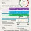 USA EID utility bill template in Word and PDF format