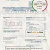 USA Florida FGUA utility bill template in Word and PDF format