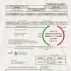 USA Florida Pensacola Energy utility bill template in Word and PDF format