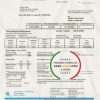 USA Florida Power & Light Company (FPL) electricity utility bill template in Word and PDF format