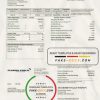 USA Florida Public Utilities utility bill template in Word and PDF format