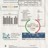USA Florida Toho Water Authority utility bill template in Word and PDF format