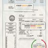 USA Florida water utility bill template in Word and PDF format