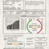 USA Hawaiian Electric utility bill template in Word and PDF format (.doc and .pdf)