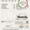 USA Hillsborough County utility bill template in Word and PDF format