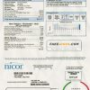 USA Illinois Nicor gas utility bill template in Word and PDF format