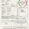 USA Illinois North Shore Gas utility bill template in Word and PDF format