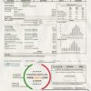 USA Illinois Peoples Gas utility bill template in Word and PDF format