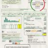 USA Indiana Bartholomew County REMC utility bill template in Word and PDF format