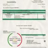USA Iowa Consumers Energy utility bill template in Word and PDF format