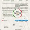 USA Iowa MidAmerican Energy Services utility bill template in Word and PDF format