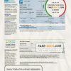 USA LA DWP utility bill template in Word and PDF format