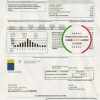USA Las Vegas Valley Water District (LVVWD) utility bill template in Word and PDF format