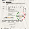 USA Louisiana Cleco Power electricity utility bill template in Word and PDF format