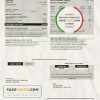 USA Maryland BGE gas and electric utility bill template in Word and PDF format