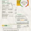 USA Maryland SMECO utility bill template in Word and PDF format