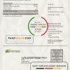 USA Massachusetts Boston NYSEG electricity utility bill template in Word and PDF format